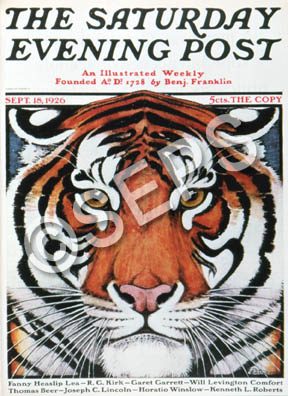 Tiger Head
